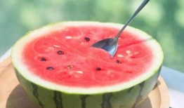 吃瓜网官网免费观看